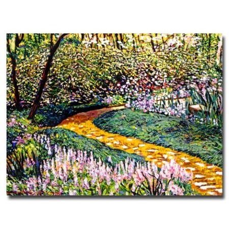 David Lloyd Glover 'Deep Forest Garden' Canvas Art,24x32